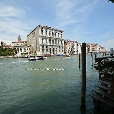 Romy Venice